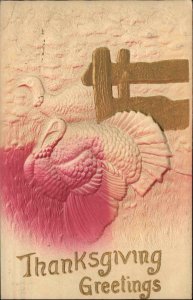 Thanksgiving Turkey and Fence Embossed Airbrushed Vintage Postcard