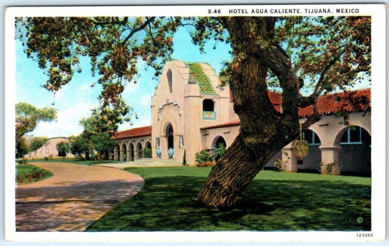 TIJUANA, MEXICO   View of HOTEL AGUA CALIENTE  ca 1920s  Postcard