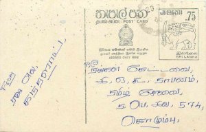 Entier Postal Stationery Postal Sri Lanka Ceylon Lion