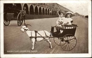 Brighton East Sussex Kids Children Goat Cart Vintage Postcard