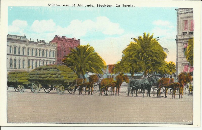 Horses Carrying a Load Of Almonds, Stockton, California