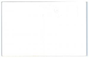 RPPC St. Augustine, FL, Giant Live Oak, Garnet Orange Grove Real Photo Postcard