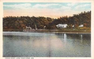 MO, Missouri  CEDAR POINT RESORT  Lake Taneycomo  TANEY COUNTY  c1920's Postcard