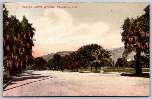 Vtg Pasadena California CA Orange Grove Avenue Street View 1910s View Postcard