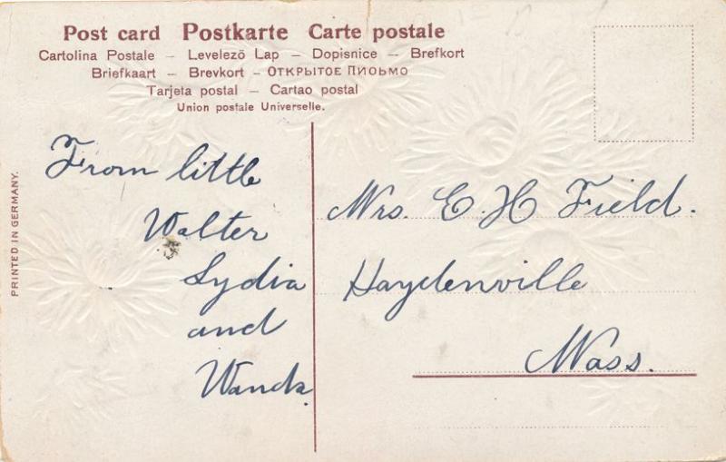 Rochester New York - Flower Greetings - DB