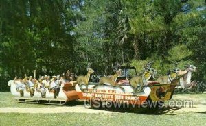 Sleigh-Riding - Silver Springs, Florida FL