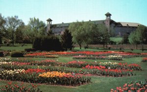 Postcard Profusion Of Tulips & Early Blossoms Frost Flowers Of Spring Hershey PA