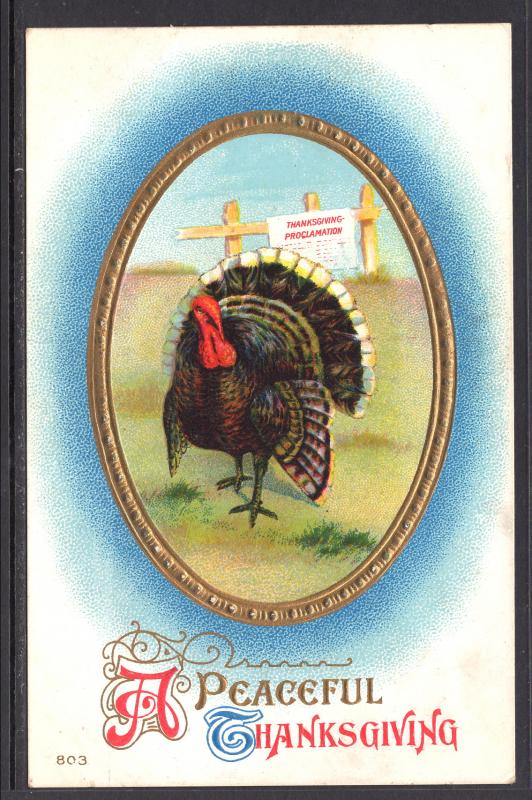 A Peaceful Thanksgiving,Turkey