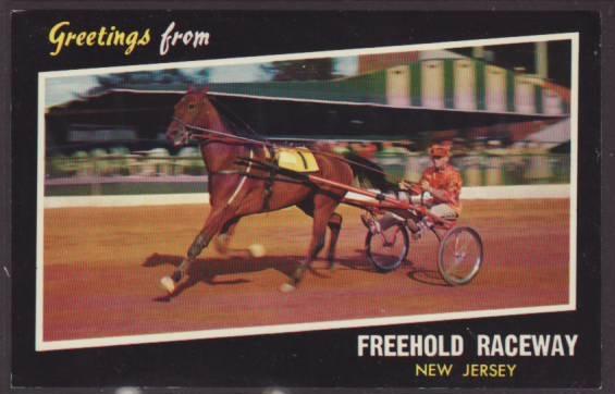 Trotter In Action,Freehold Raceway,Freehold,NJ Postcard 