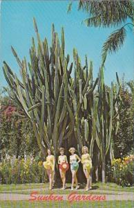 Florida Saint Petersburg Sunken Gardens