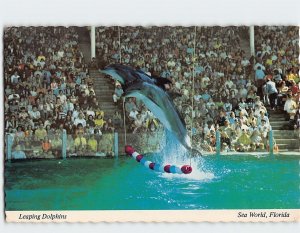 Postcard Leaping Dolphins Whale-Dolphin Show Sea World Orlando Florida USA