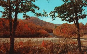 Vintage Postcard Site Of Indian Campground Cold Mohawk Trail Claremont Mass. MA