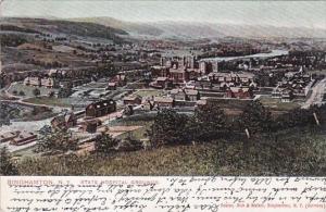 New York Binghampton State Hospital Grounds 1908