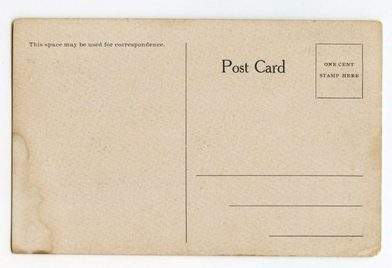 Postcard Marriage Mulley Steer WEDLOCK Traveling Standard View Card 