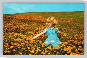 Bakersfield CA- California, Spring in Kern County, Poppies, Chrome c1974Postcard 