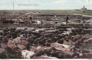 WINNIPEG, Manitoba, Canada, 00-10s; Winnepeg Stock yards