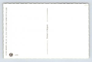 Alfred Mainzer Cats Camping Anthropomorphic Postcard - Begium 4995