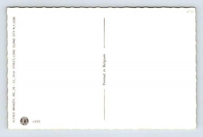 Alfred Mainzer Cats Camping Anthropomorphic Postcard - Begium 4995