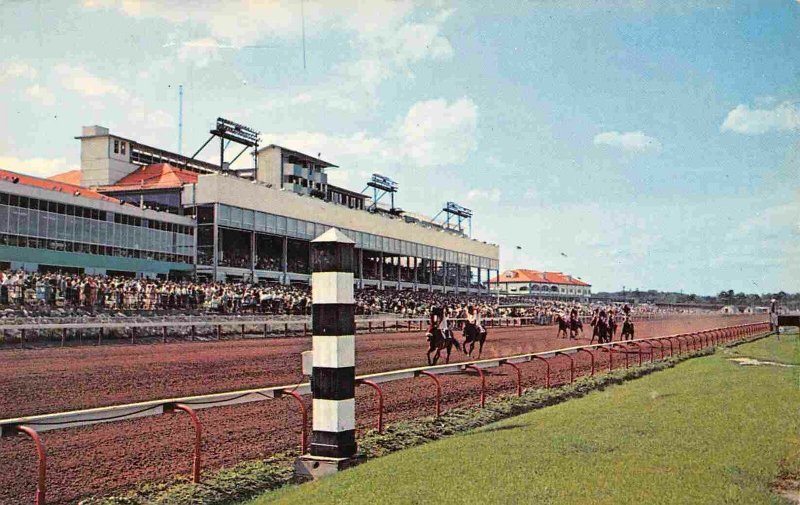 Horse Racing Rockingham Race Track Salem New Hampshire postcard 