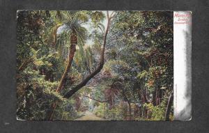 Vintage Postcard Coconut Grove Miami FL!
