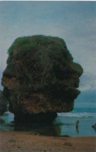 Old Man of the Sea near Saipan, Mariana Islands - Pacific Ocean