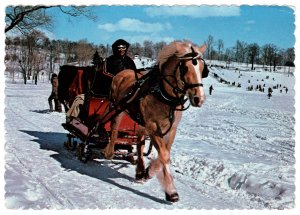 Winter Sleigh Ride on the Mount Royal, Montreal, Quebec, Canada