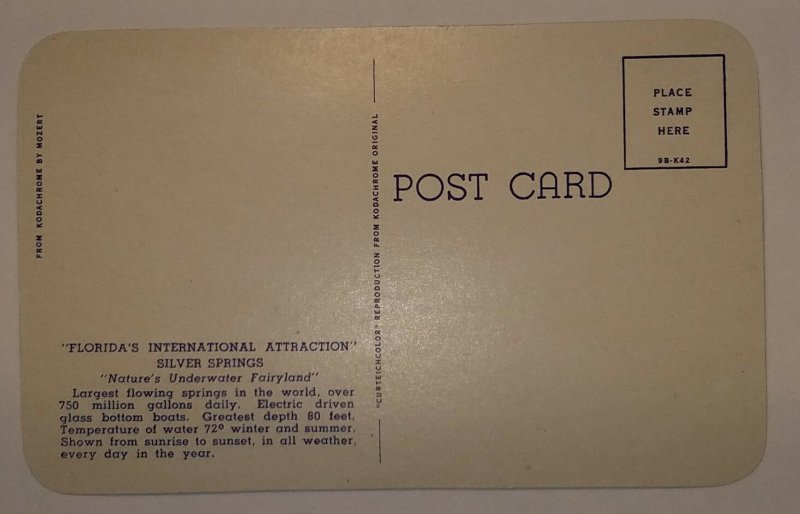 Electric Driven Glass Bottom Boat, Silver Springs, Florida Postcard