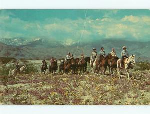 CA G-202 Horseback Riders Cowboys Horses Trail Riders Western  Postcard # 5519