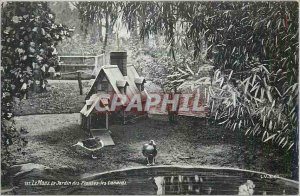 Old Postcard Le Mans Garden of the Ducks Plants