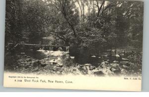 New Haven CT West Rock Park c1910 Postcard