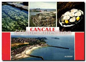 Modern Postcard Cancale oysters Famous