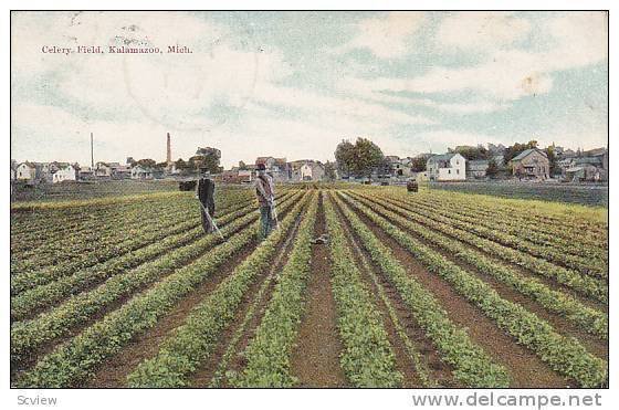 Celery Field, Kalamazoo, Michigan, PU-1909