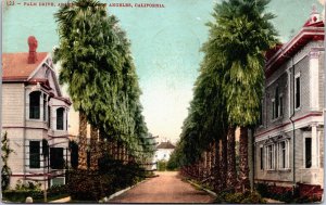 USA Palm Drive Adams Street Los Angeles California Postcard C034