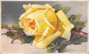 BG33625 rose flower catharina klein nice artist signed