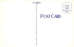 Flags of the Confederacy Postcard