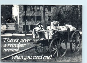 Postcard - There's never a reindeer around when you need one?, Pennsylvania