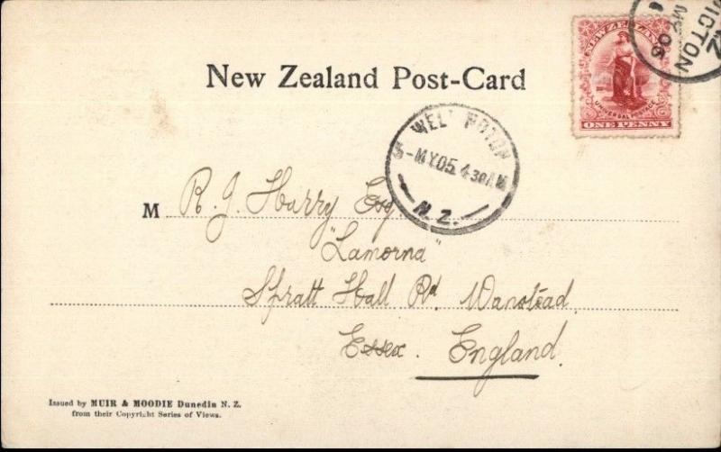 Picton New Zealand Birdseye View 1905 Used Postcard - Cover Cancels