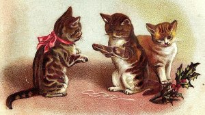 1880's Christmas Adorable Anthropomorphic Cats Thread-Game Holly &J