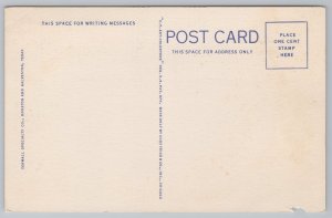 Linen~14 Views & Down In Texas Poem~Vintage Postcard 