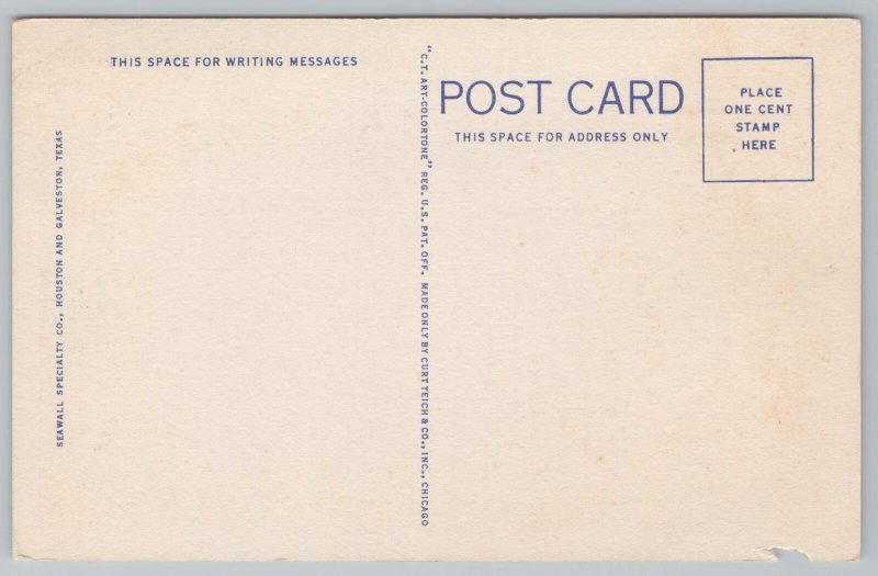 Linen~14 Views & Down In Texas Poem~Vintage Postcard 