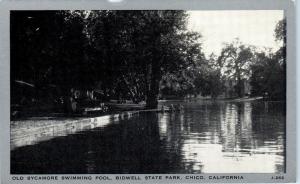 CHICO, CA    Old  SYCAMORE SWIMMING POOL  at Bidwell Park c1940s     Postcard