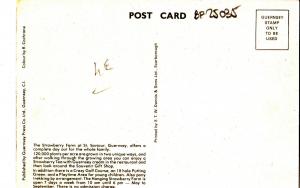 BF25035 the hanging strawberry farm guernsey CI UK  front/back image