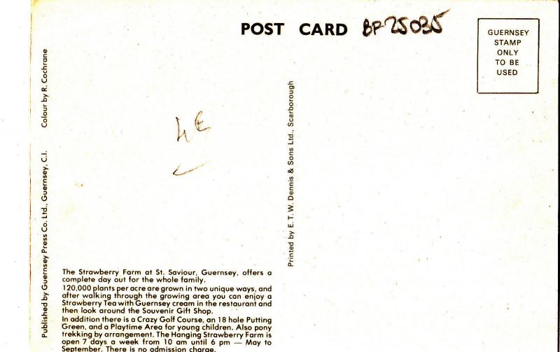 BF25035 the hanging strawberry farm guernsey CI UK  front/back image