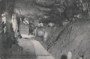Entrance Avenue - Luray Caverns VA, Virginia - pm 1908 - DB