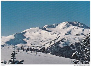 Skiing the fresh powder of Blackcomb, Whistler Mountain, B.C.,  Canada, 40-60s