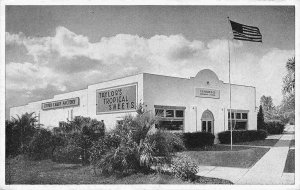 C S Taylor Co Orange Packing Plant Davenport Florida  postcard