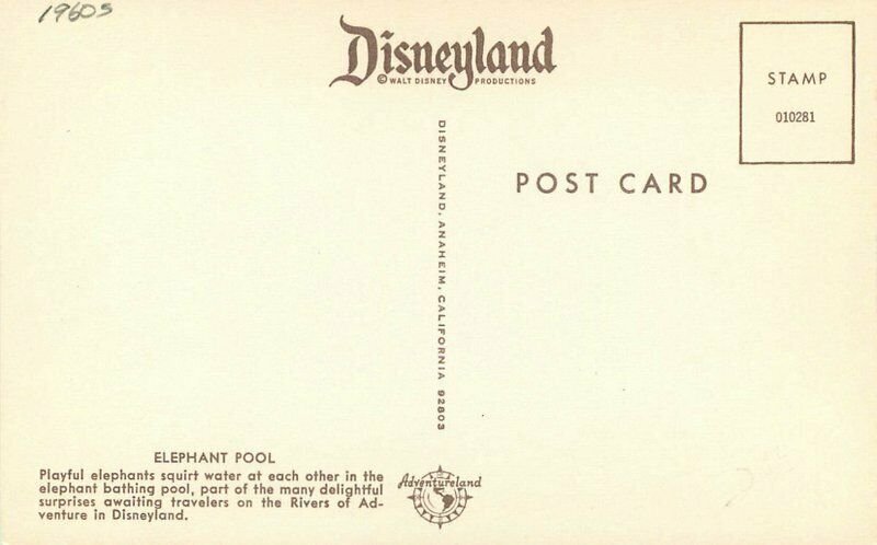 Anaheim California Elephant Pool Disneyland Amusement Postcard 21-3707