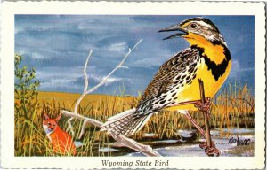 Western Meadowlark, Wyoming State Bird Artist Ken Haag Postcard B63