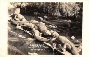 RPPC California Alligator Farm, Los Angeles, CA 1940s Vintage Photo Postcard