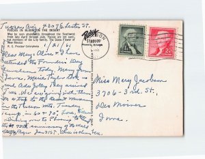 Q-62169 Yuccas In Bloom On The Desert The State Flower NM